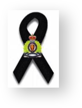 Stacks Image 11331081